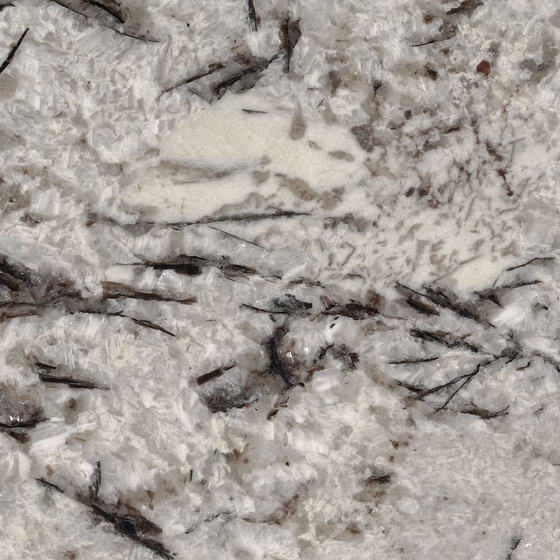 Delicatus White